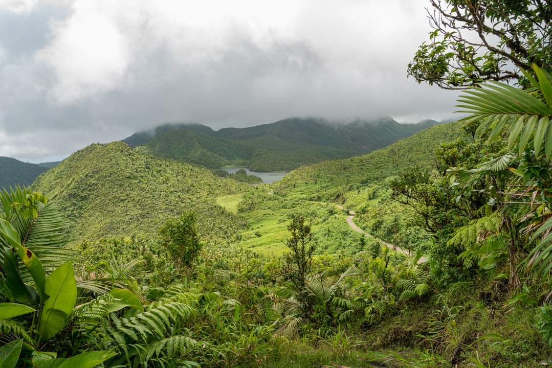 The Commonwealth of Dominica