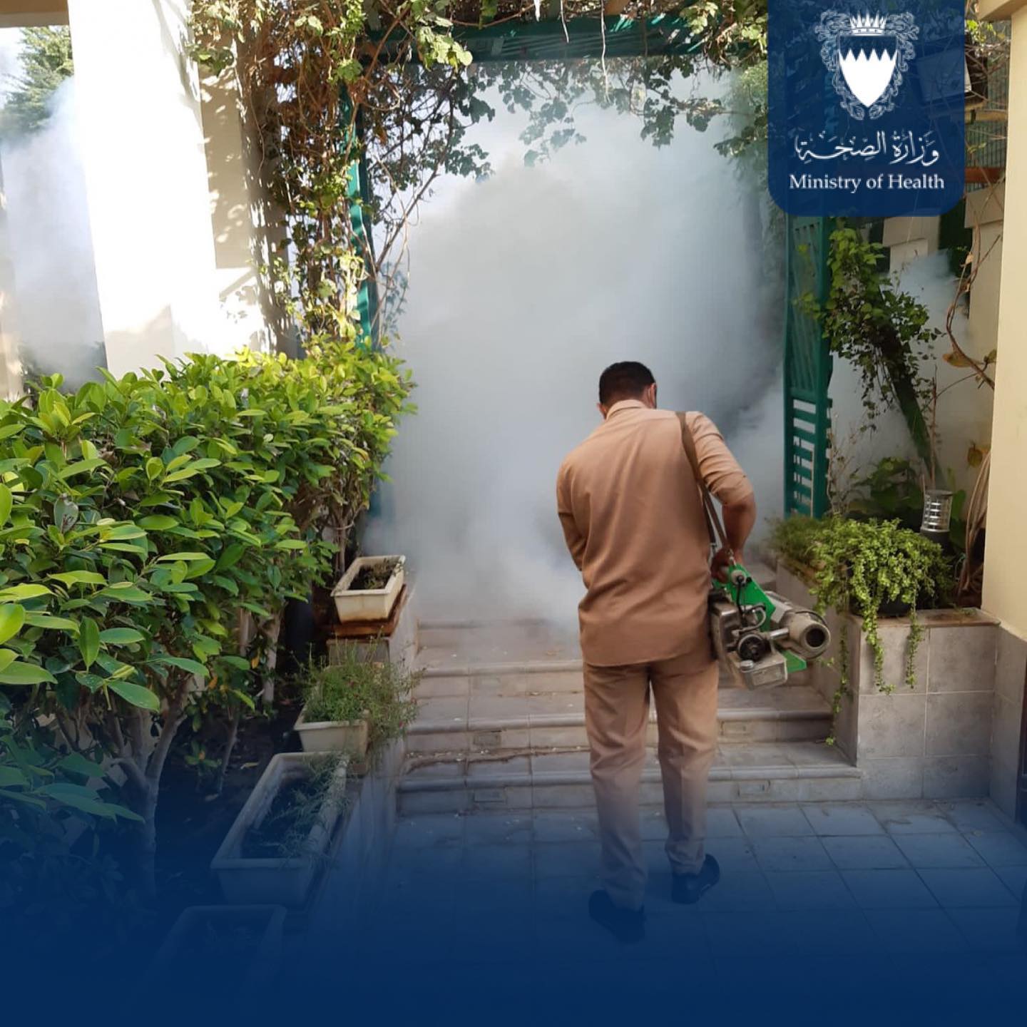 Various Ministries of Bahrain confirms to intensify inspection campaigns to control adult mosquitos and caterpillars