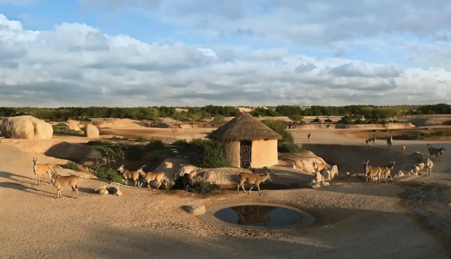 Summer Season Closures Hit UAE Tourist Attractions: Al Ain Zoo, Dubai Safari